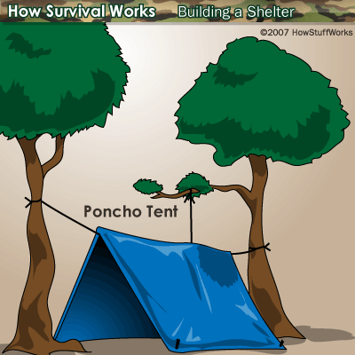 how-to-build-a-shelter-illustration-3