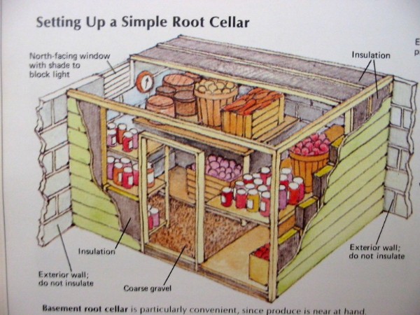 root-cellar