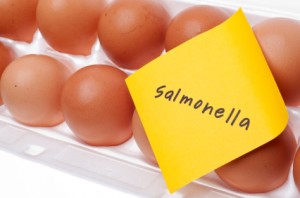 salmonell-surprises-300x198
